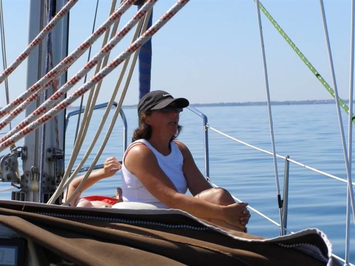 Bandholm billede 4