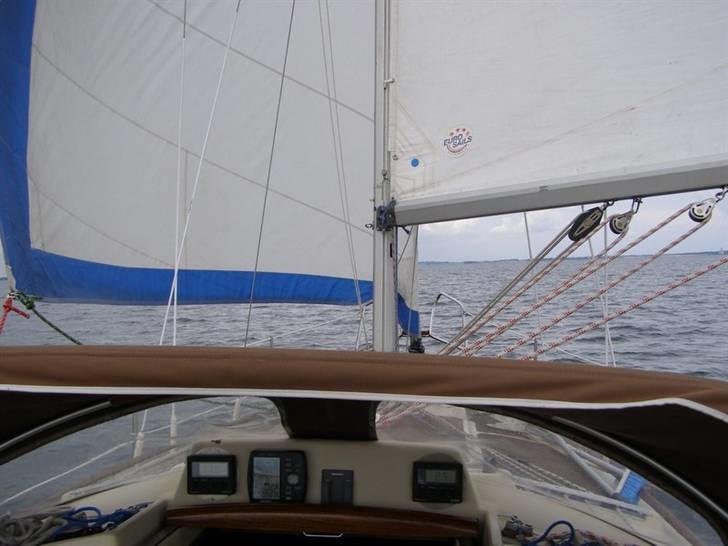 Bandholm billede 6