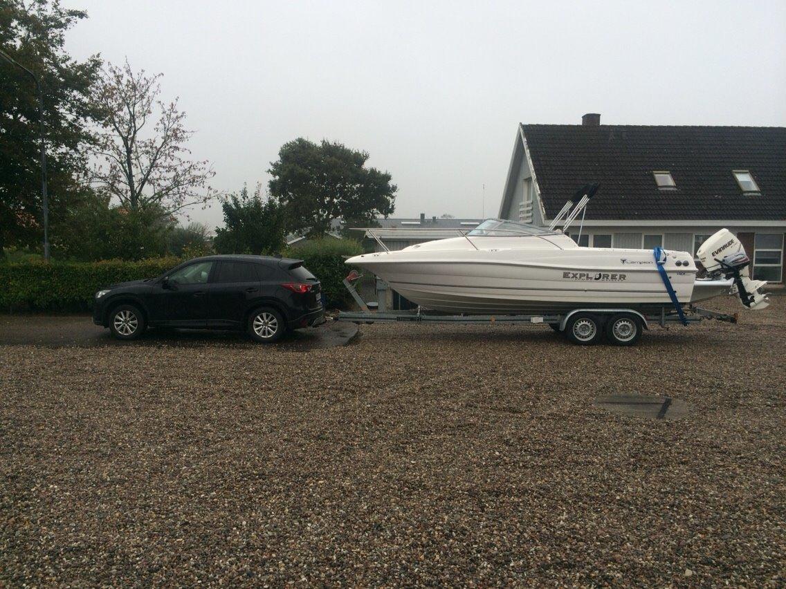 Campion 602 billede 5