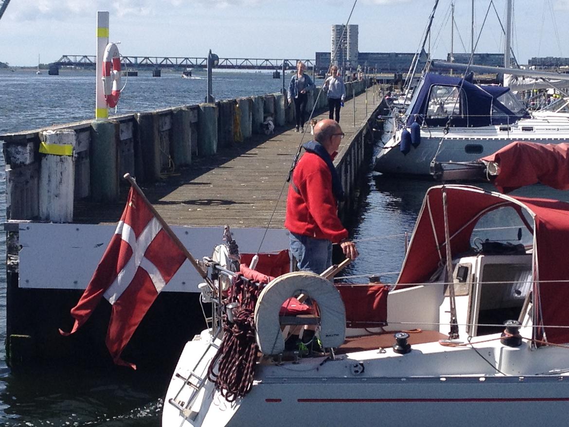 Scampi 30 billede 6