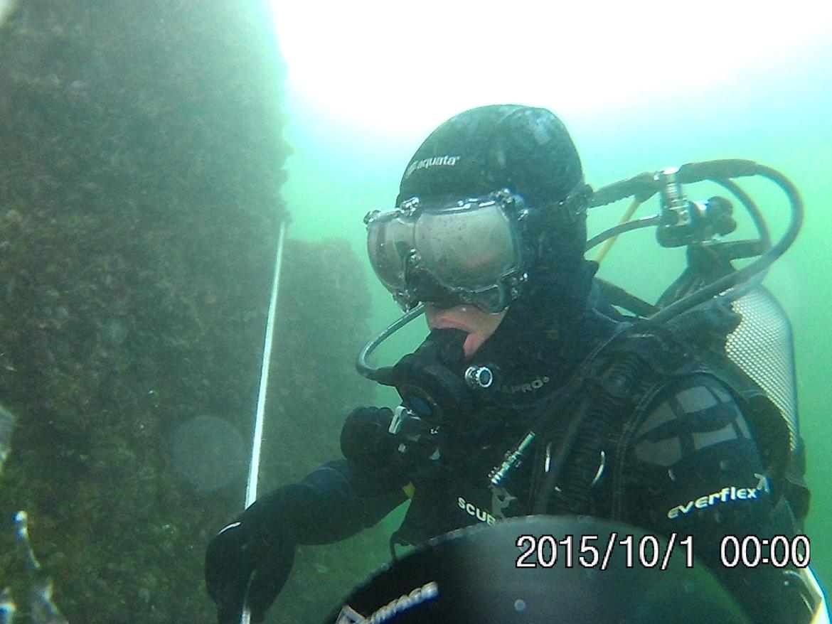 div. dykning - dyk på bropille nr 14 under storebæltsbroen billede 37