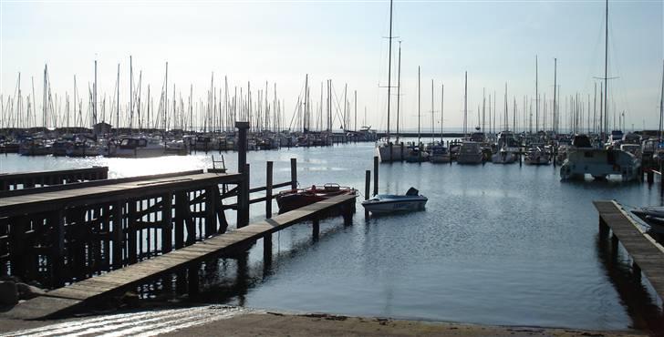 RING 16 - Bogense havn billede 13