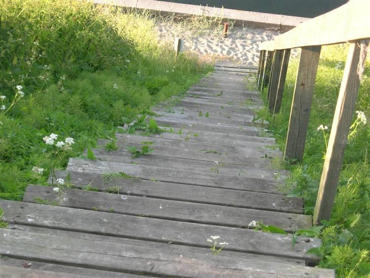 Tur til Flakfortet og kanalerne i kbh. billede 97