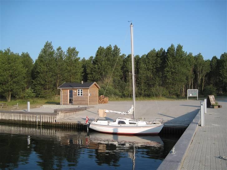 Far og Søn tur billede 15