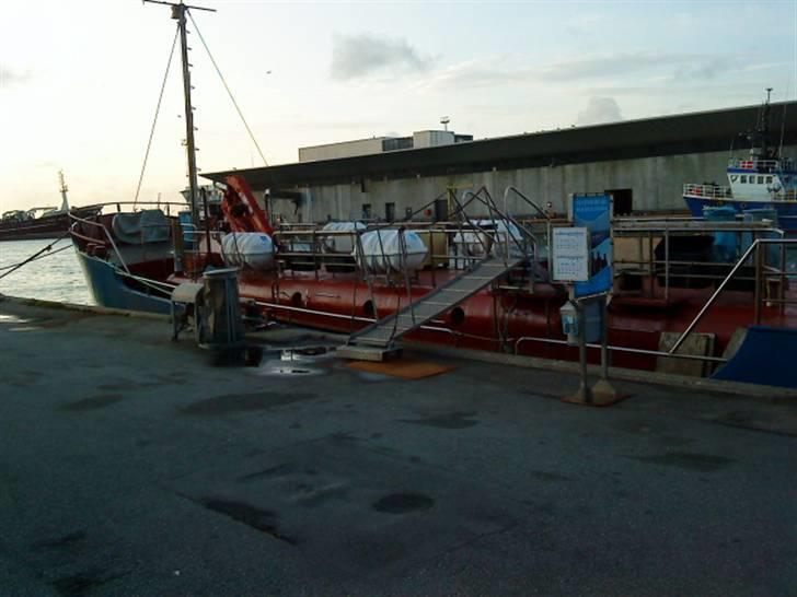 Hav fiskeri med M/S Albatros billede 2