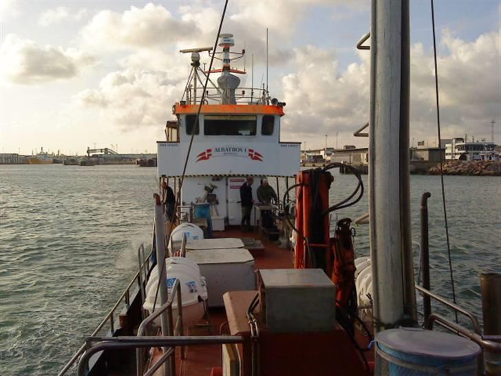 Hav fiskeri med M/S Albatros billede 9