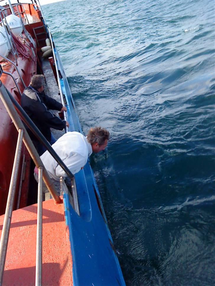 Hav fiskeri med M/S Albatros - De 2 første sø syge :-) billede 12