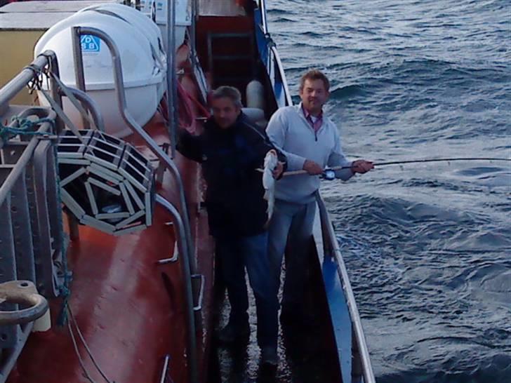 Hav fiskeri med M/S Albatros billede 13