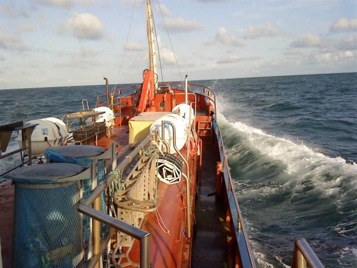 Hav fiskeri med M/S Albatros billede 15