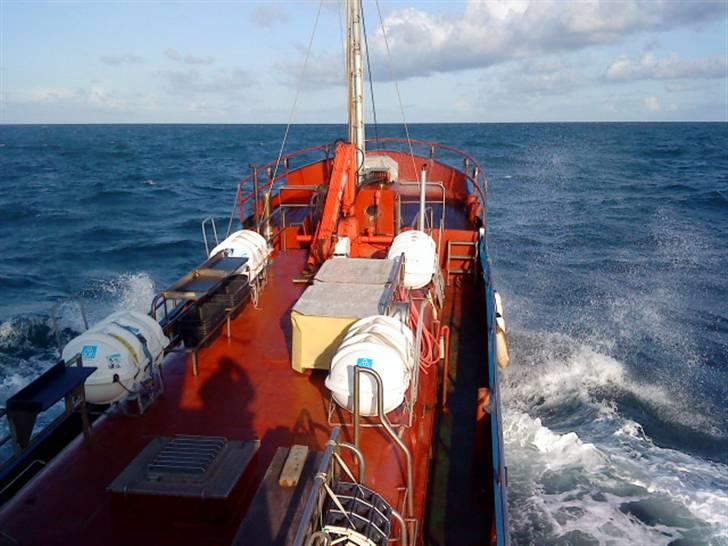 Hav fiskeri med M/S Albatros billede 18