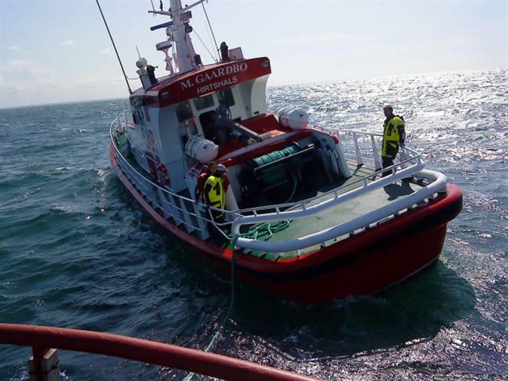 Hav fiskeri med M/S Albatros billede 27
