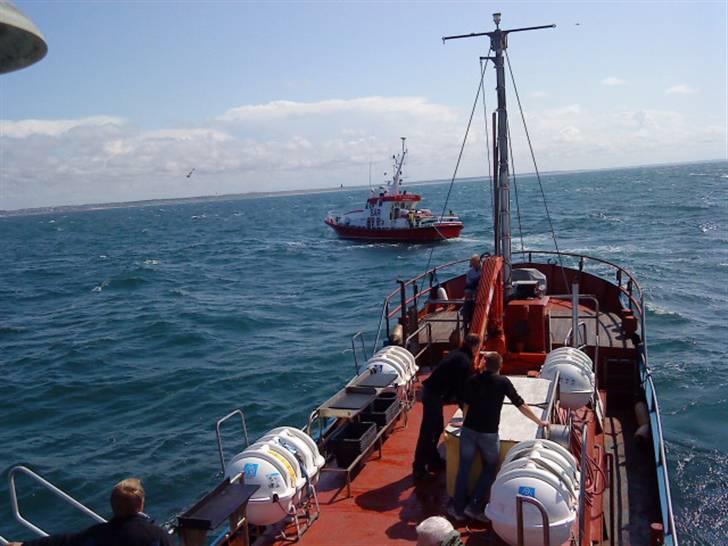 Hav fiskeri med M/S Albatros billede 28