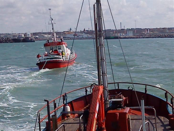 Hav fiskeri med M/S Albatros billede 30