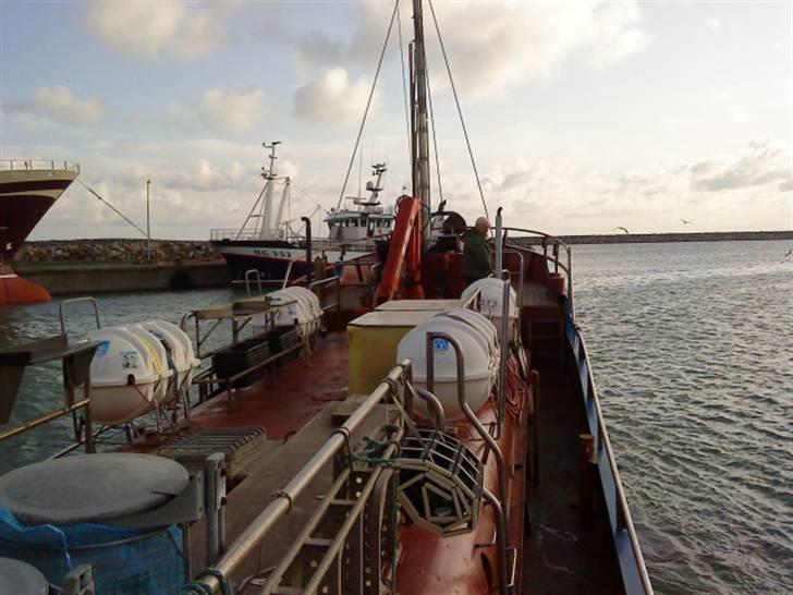 Hav fiskeri med M/S Albatros billede 32