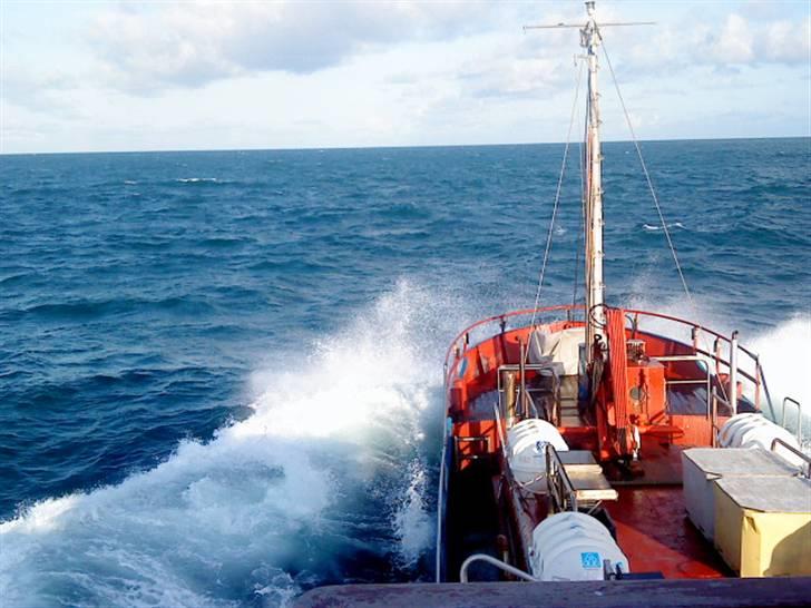 Hav fiskeri med M/S Albatros billede 1