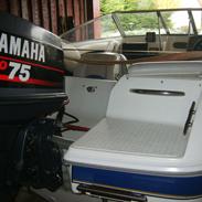 campion 485 cd