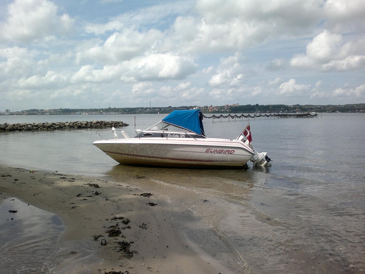 Sunbird Barletta 184 billede 1