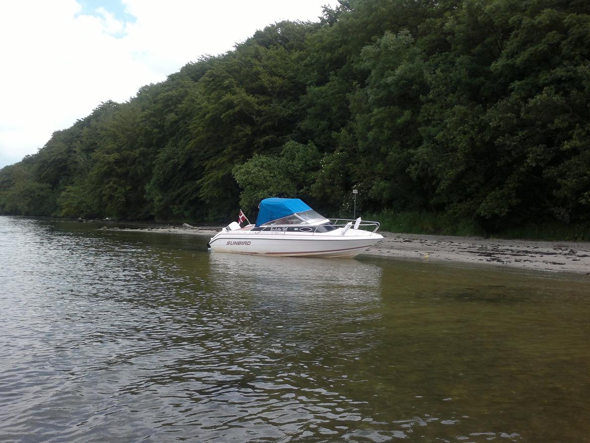 Sunbird Barletta 184 billede 3