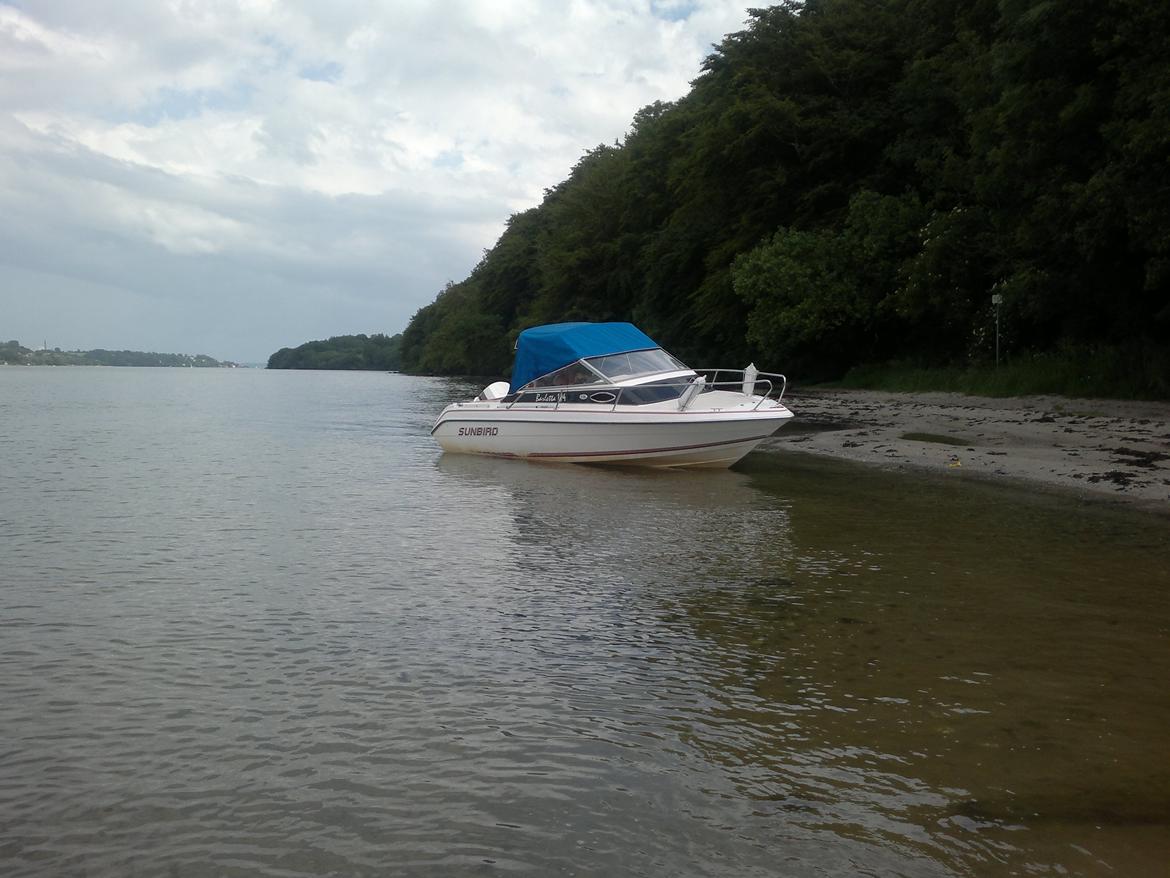 Sunbird Barletta 184 billede 4