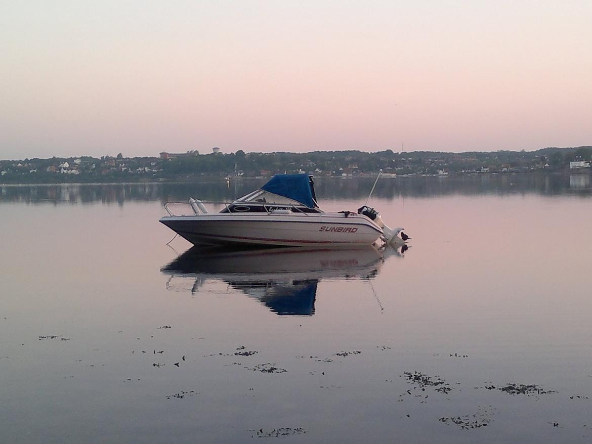 Sunbird Barletta 184 billede 6