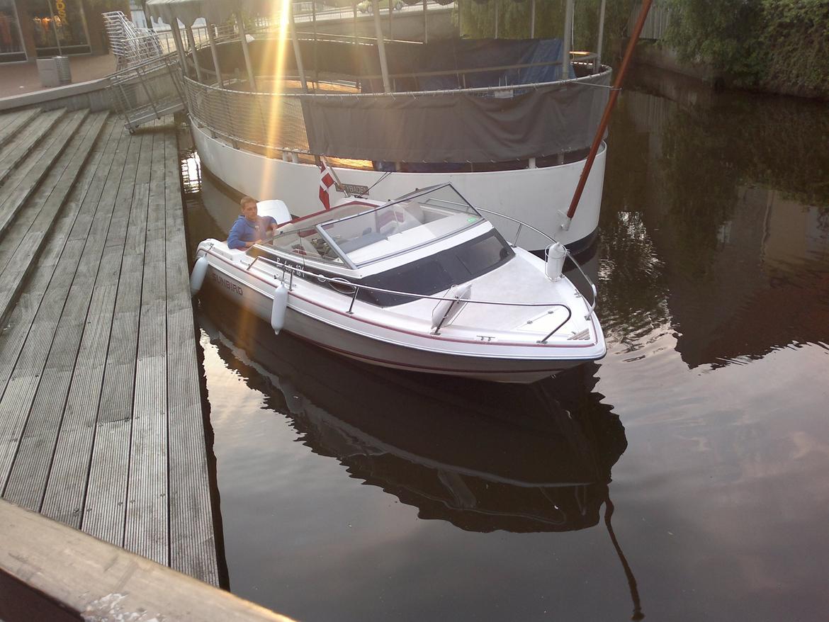 Sunbird Barletta 184 billede 25