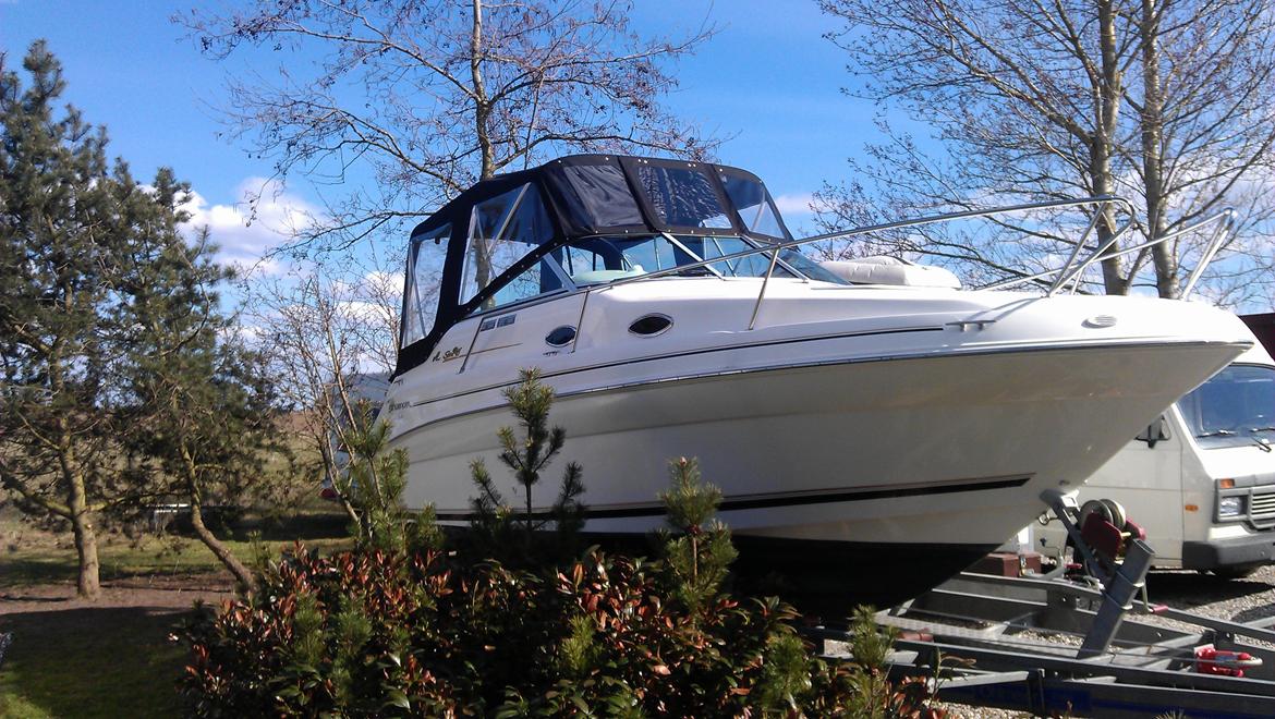 Searay 240 Sundancer billede 1