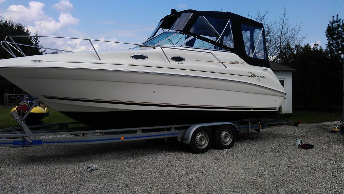 Searay 240 Sundancer billede 2