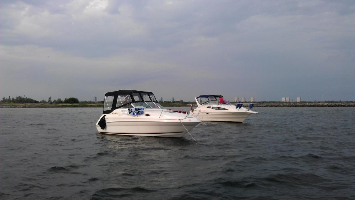 Searay 240 Sundancer billede 5