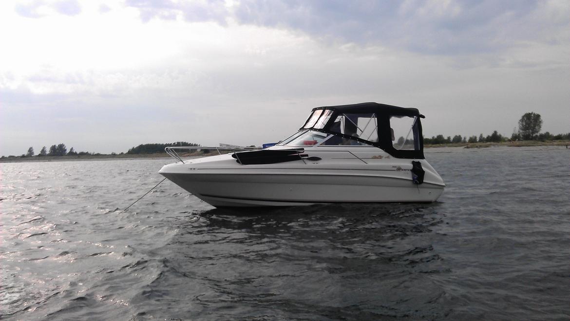 Searay 240 Sundancer billede 6