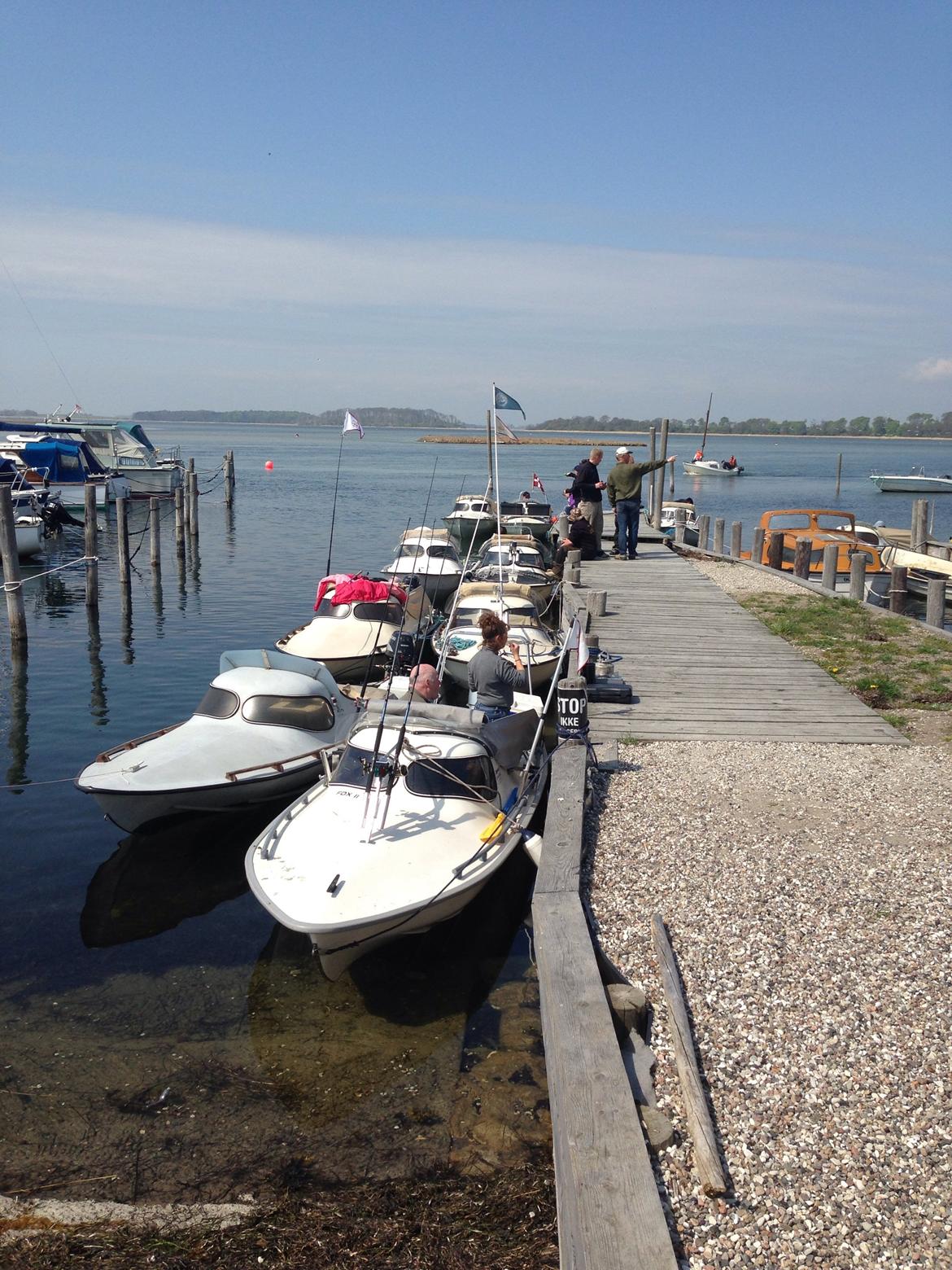 Mopa træf 13  billede 17