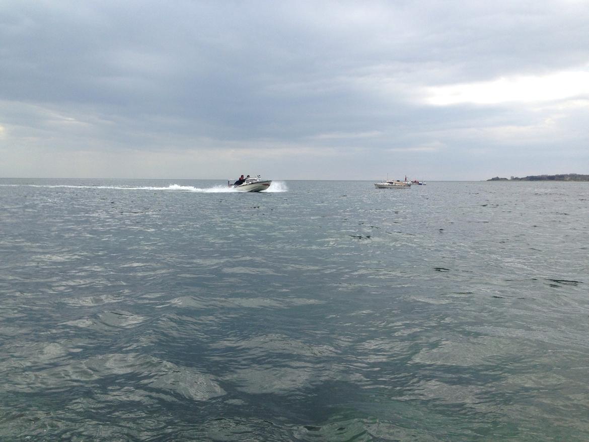 Mopa træf 13  billede 16