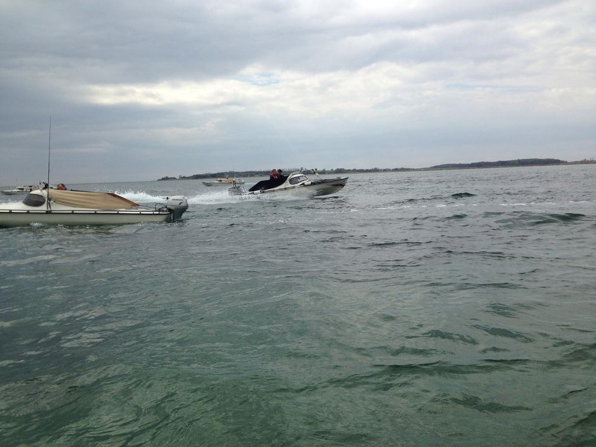 Mopa træf 13  billede 15