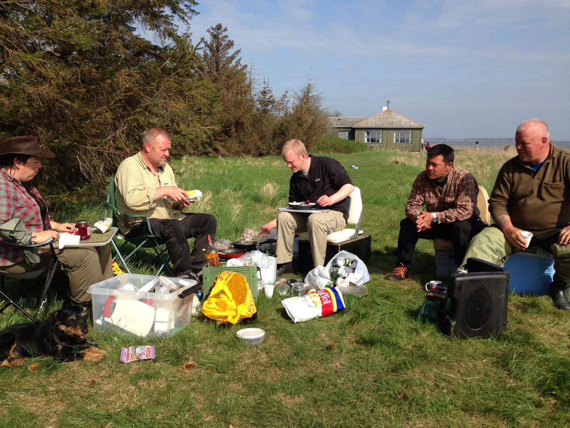 Mopa træf 13  billede 13