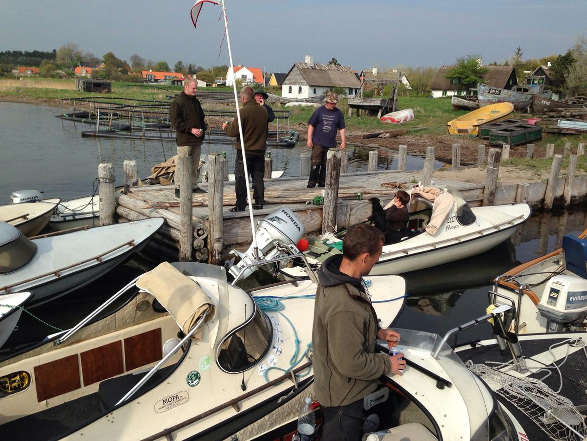 Mopa træf 13  billede 9