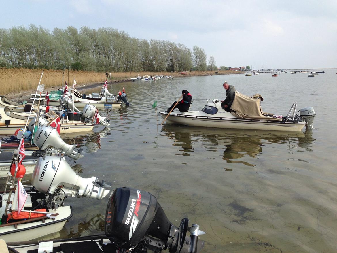 Mopa træf 13  billede 8