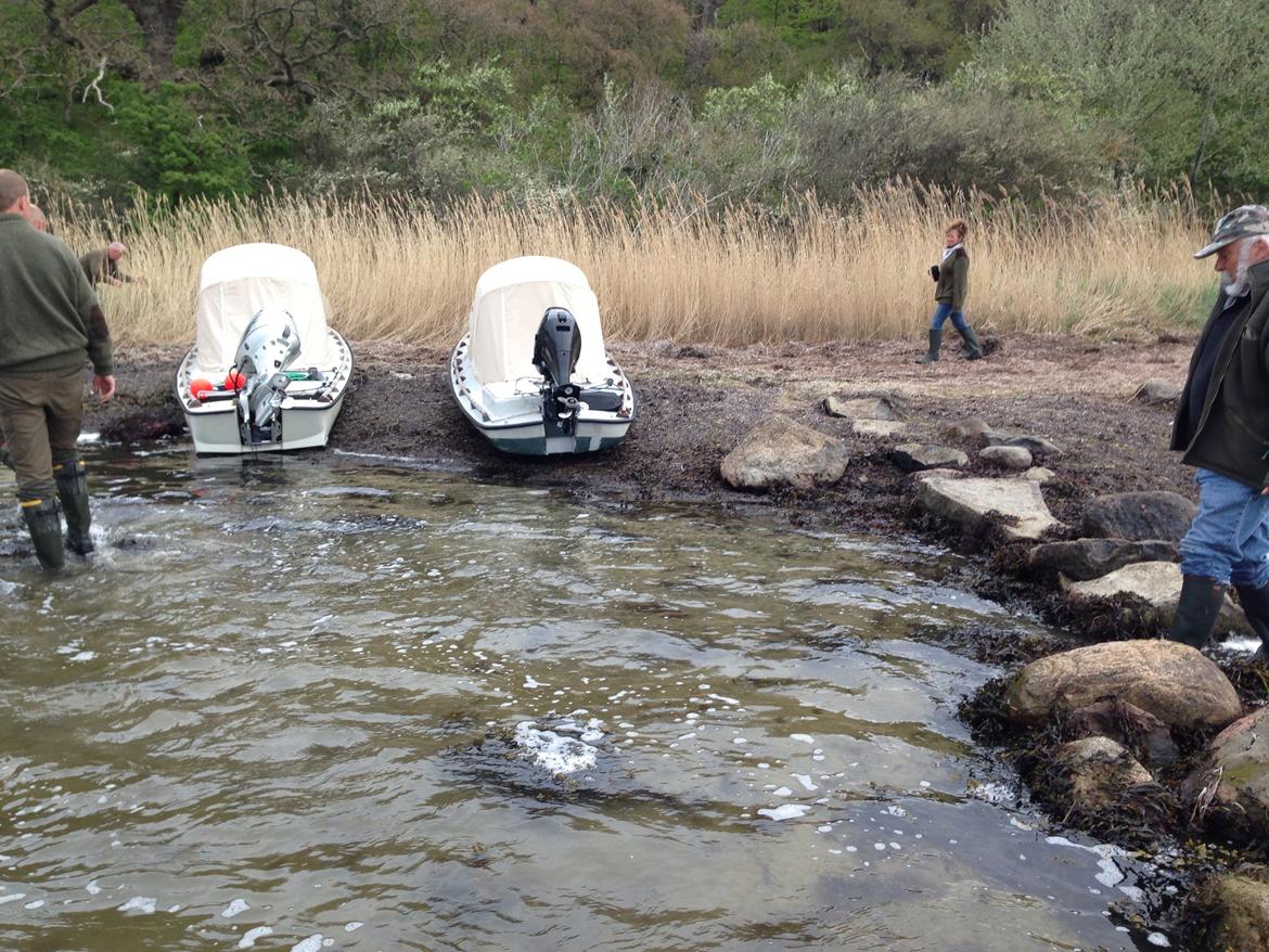 Mopa træf 13  billede 5