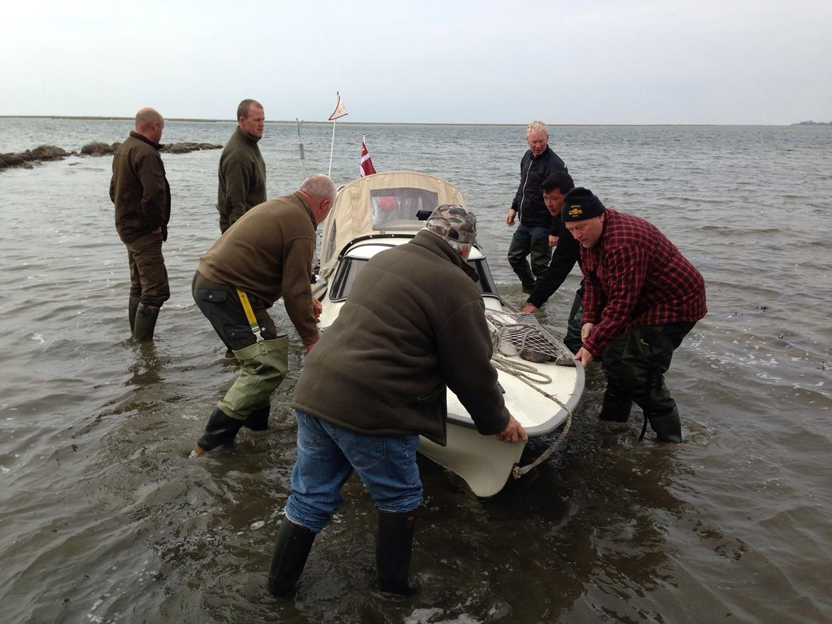 Mopa træf 13  billede 3