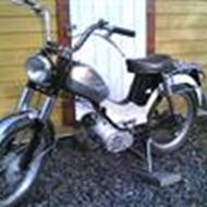 Trond P