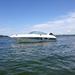 Evinrude 30 hk 1994