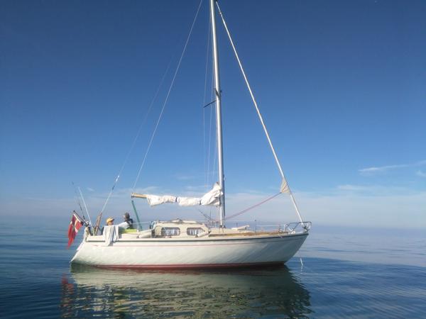 larmende mast