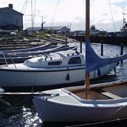 Junker 22