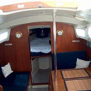 Shipman Shipman 28