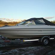 Sea Ray 170 bowrider