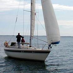 Nordship 29