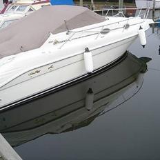 Sea Ray 250 Sundancer