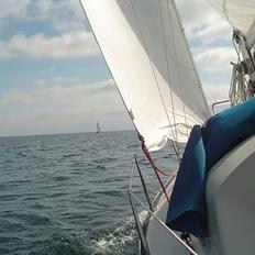 Albin 79