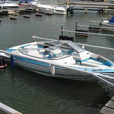 Wellcraft Exel 18 SX