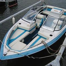 Wellcraft Exel 18 SX