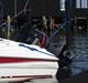 Campion 505 Bowrider - SOLGT