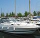 Wellcraft 3000 Martinique